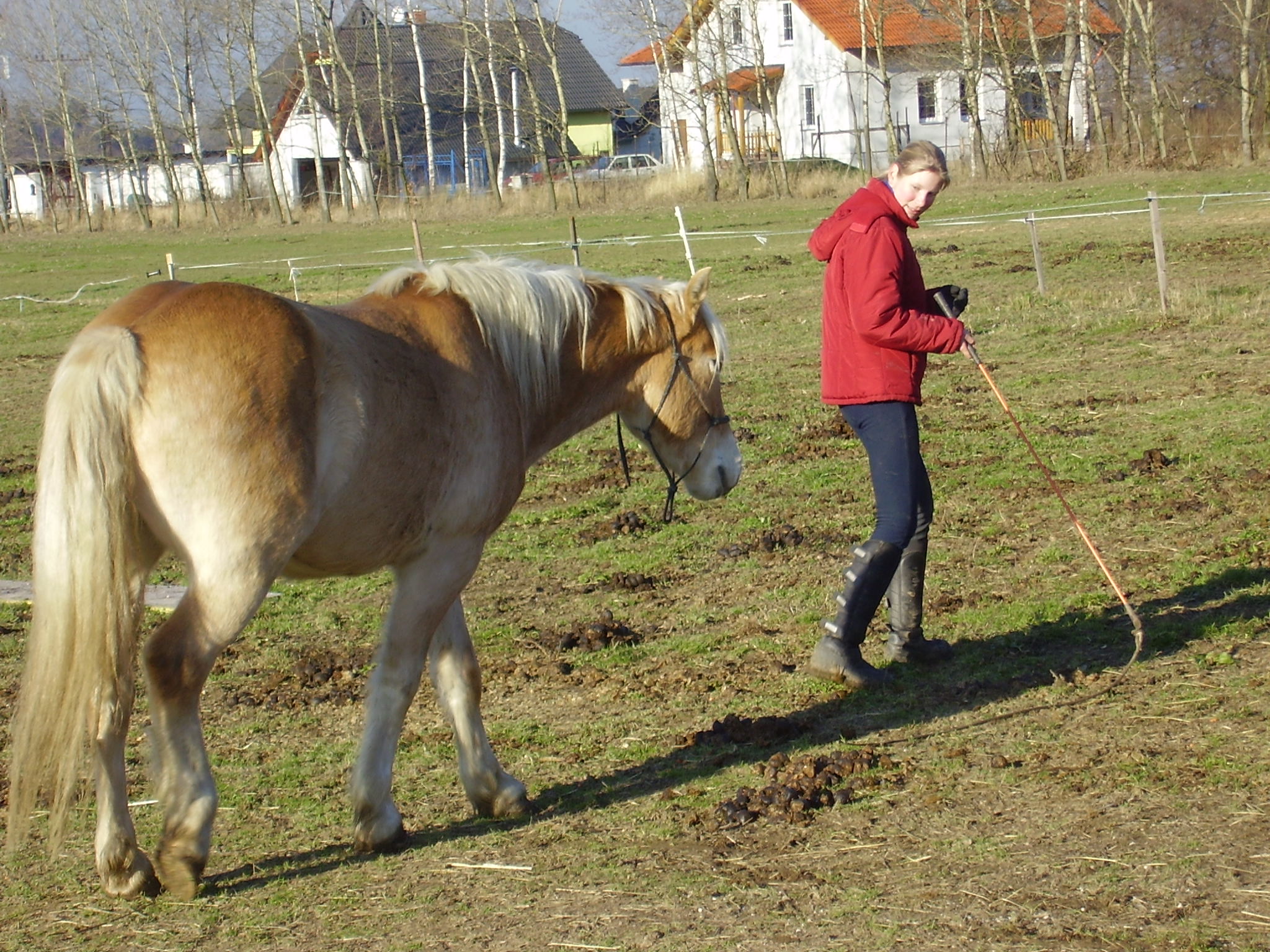 nasledovani_volnost