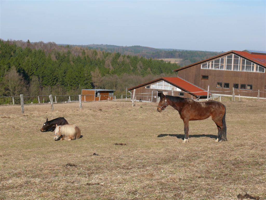jeden maká na stráži, ostatní se flákají