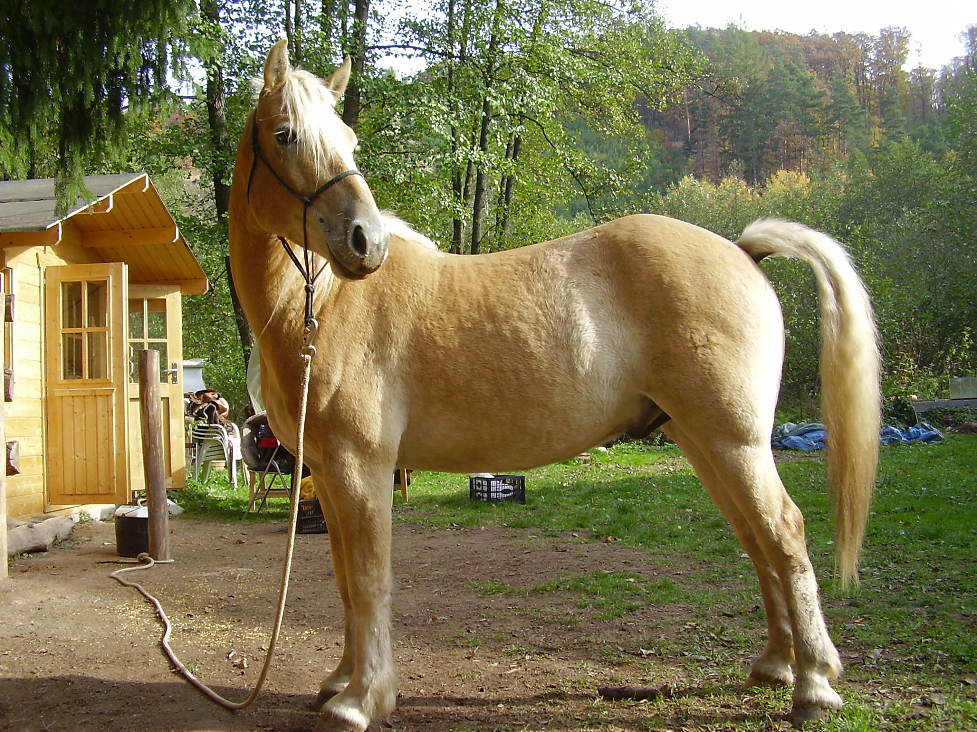 2009