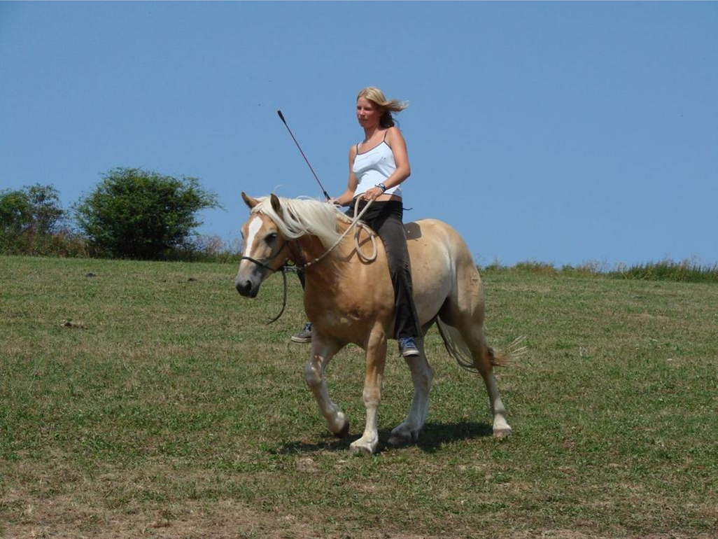 teren