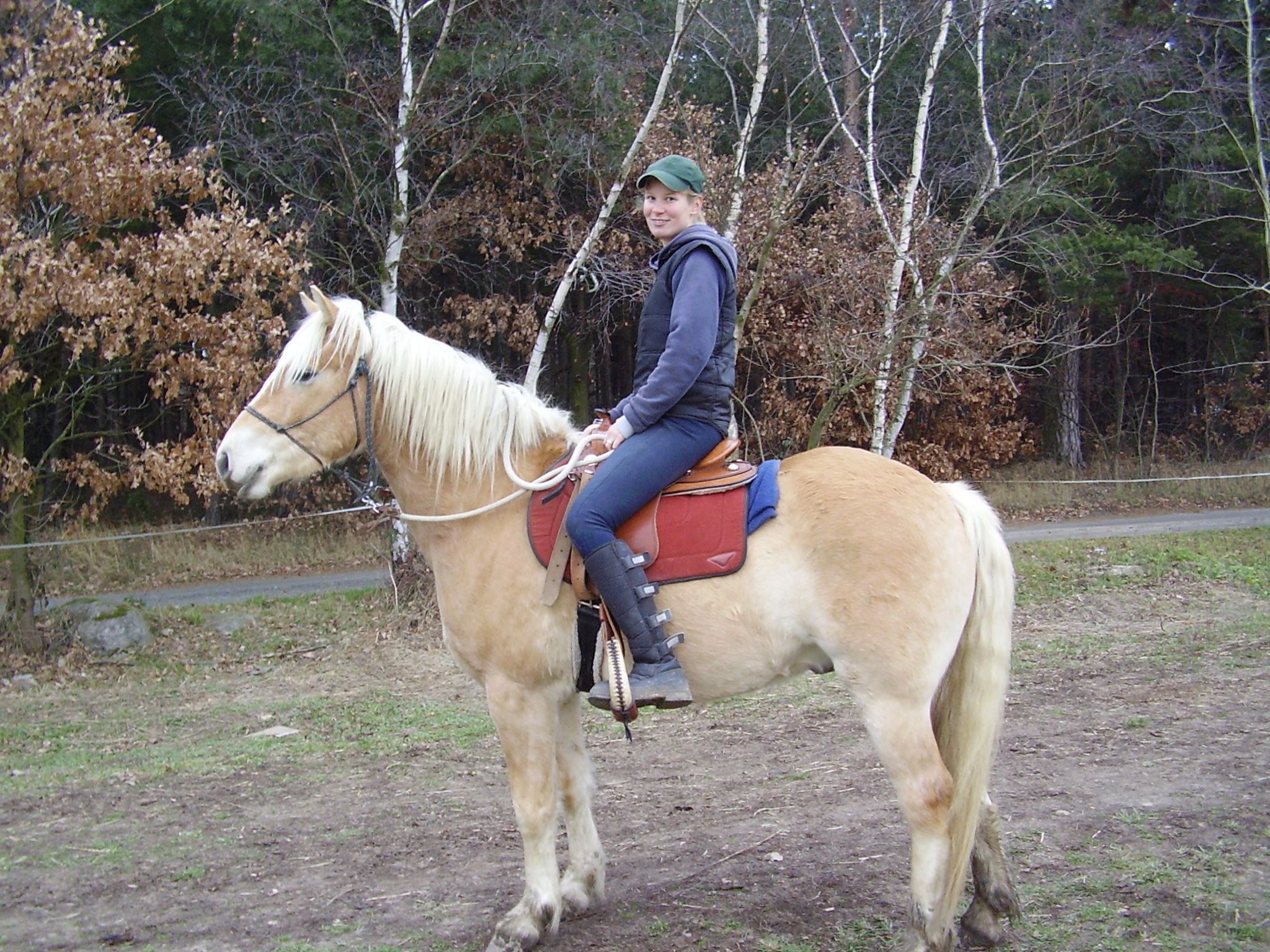 2007_e